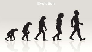 Evolution
 