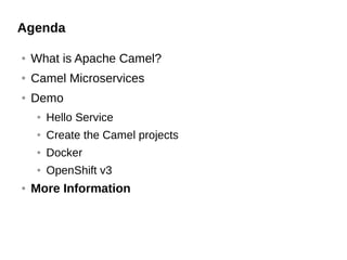 Agenda
● What is Apache Camel?
● Camel Microservices
● Demo
● Hello Service
● Create the Camel projects
● Docker
● OpenShift v3
● More Information
 