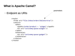 What is Apache Camel?
● Endpoint as URIs
<route>
<from uri="file:inbox/orders?delete=true"/>
<choice>
<when>
<xpath>/order/product = 'widget'</xpath>
<to uri="activemq:queue:widget"/>
</when>
<otherwise>
<to uri="activemq:queue:gadget"/>
</otherwise>
</choice>
</route>
parameters
 