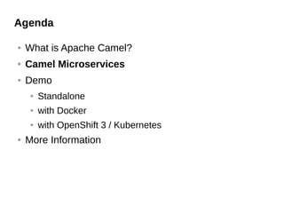 Agenda
● What is Apache Camel?
● Camel Microservices
● Demo
● Standalone
● with Docker
● with OpenShift 3 / Kubernetes
● More Information
 
