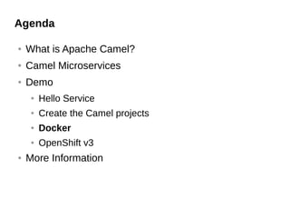Agenda
● What is Apache Camel?
● Camel Microservices
● Demo
● Hello Service
● Create the Camel projects
● Docker
● OpenShift v3
● More Information
 