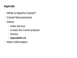 Agenda
● What is Apache Camel?
● Camel Microservices
● Demo
● Hello Service
● Create the Camel projects
● Docker
● OpenShift v3
● More Information
 