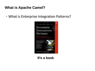 What is Apache Camel?
● What is Enterprise Integration Patterns?
It's a book
 