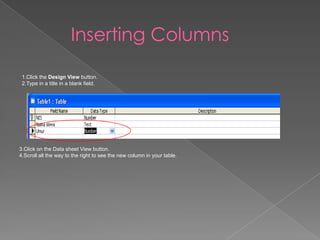Inserting Columns
1.Click the Design View button.
2.Type in a title in a blank field.
3.Click on the Data sheet View button.
4.Scroll all the way to the right to see the new column in your table.
 