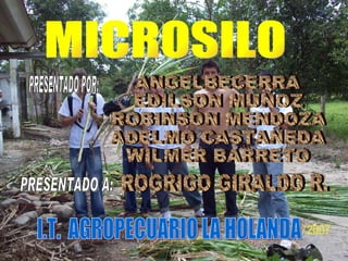 MICROSILO PRESENTADO POR: ANGELBECERRA EDILSON MUÑOZ ROBINSON MENDOZA ADELMO CASTAÑEDA WILMER BARRETO PRESENTADO A: ROGRIGO GIRALDO R. I.T.  AGROPECUARIO LA HOLANDA 