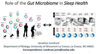 Role of the Gut Microbiome in Sleep Health
Jonathan Lendrum
Department of Biology, University of Wisconsin-La Crosse, La Crosse, WI 54601
Correspondence: Lendrum.jona@uwlax.edu 1
 