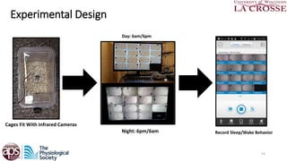 Microsleepome final powerpoint.ppt