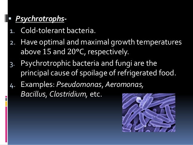  Psychrotrophs-
1. Cold‐tolerant bacteria.
2. Have optimal and maximal growth temperatures
above 15 and 20°C, respectivel...