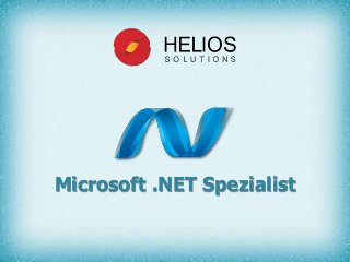 Microsoft .NET Spezialist
 