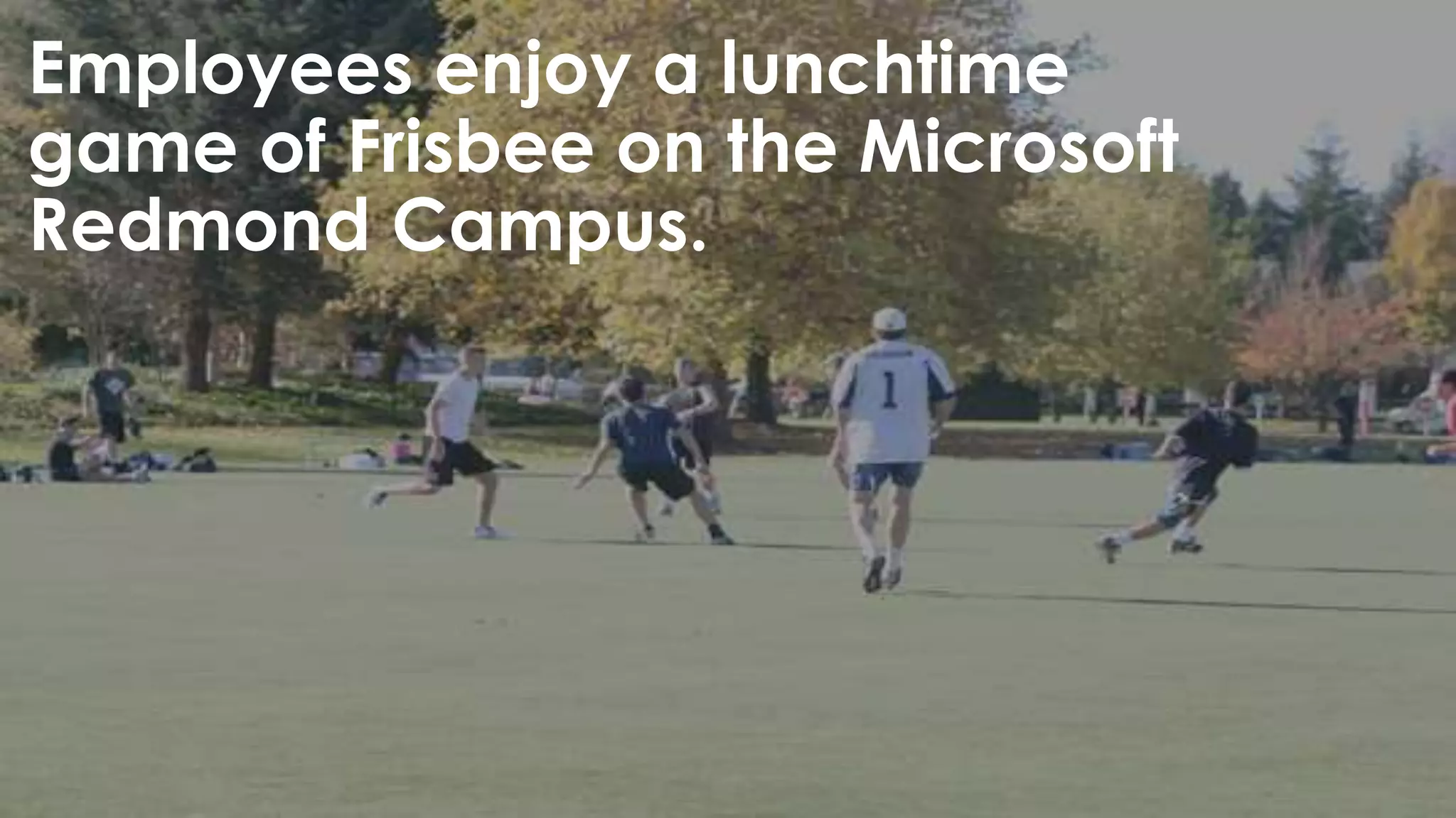 Employees enjoy a lunchtime
game of Frisbee on the Microsoft
Redmond Campus.
 