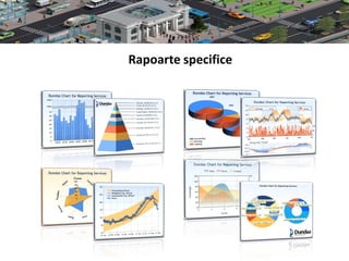 Rapoarte specifice
 