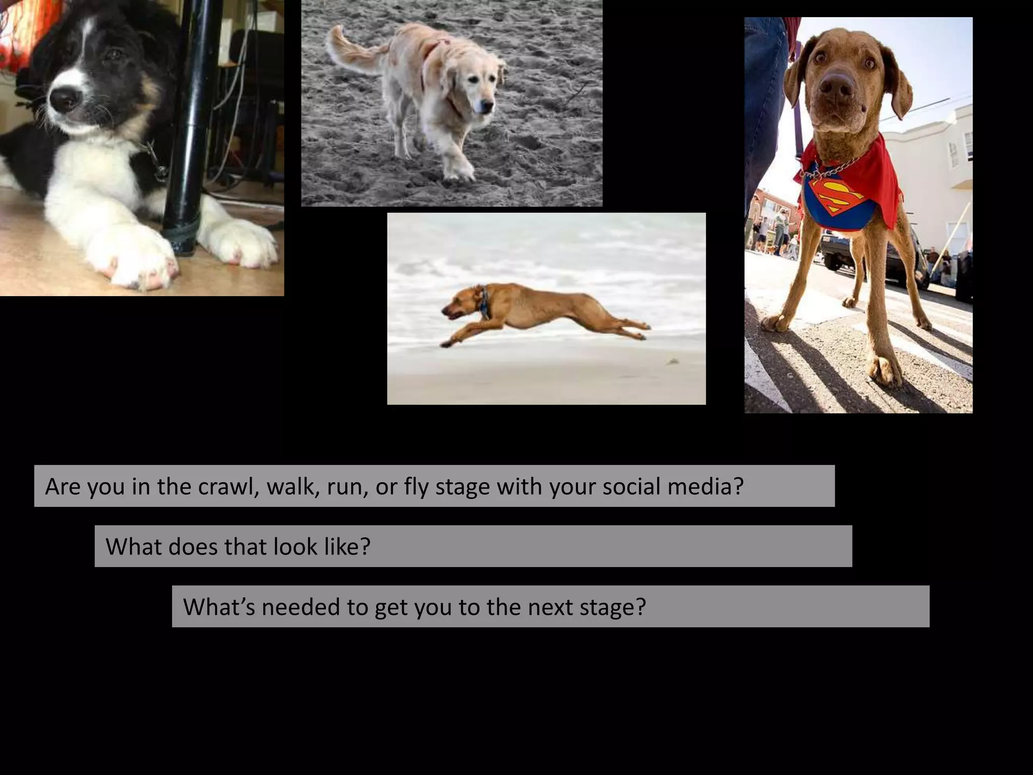 acticachesSocial Media: Picking ToolsMovement Building  and Multi-ChannelGenerateBuzzSocial ContentListenEngage 10hr 15hr 20hrCrawl ………..……Walk …….…….. Run ……..…………….FlylLess Time