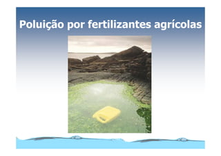 Microsoft Power Point   Aula (3)   áGua E Impacto Ambiental