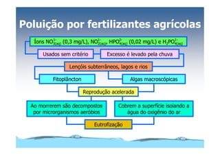 Microsoft Power Point   Aula (3)   áGua E Impacto Ambiental