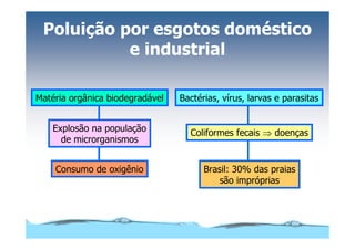Microsoft Power Point   Aula (3)   áGua E Impacto Ambiental