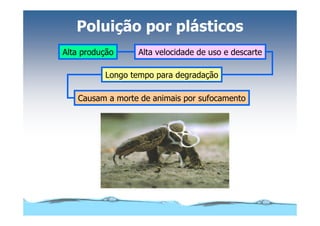 Microsoft Power Point   Aula (3)   áGua E Impacto Ambiental