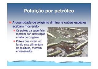 Microsoft Power Point   Aula (3)   áGua E Impacto Ambiental