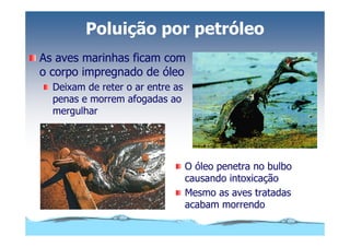Microsoft Power Point   Aula (3)   áGua E Impacto Ambiental