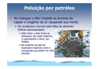 Microsoft Power Point   Aula (3)   áGua E Impacto Ambiental