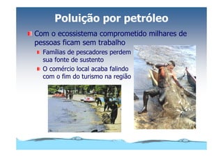 Microsoft Power Point   Aula (3)   áGua E Impacto Ambiental