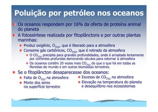 Microsoft Power Point   Aula (3)   áGua E Impacto Ambiental