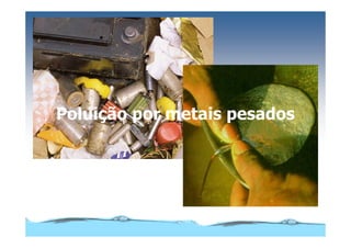 Microsoft Power Point   Aula (3)   áGua E Impacto Ambiental