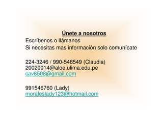 Presentación de Magis Comedor