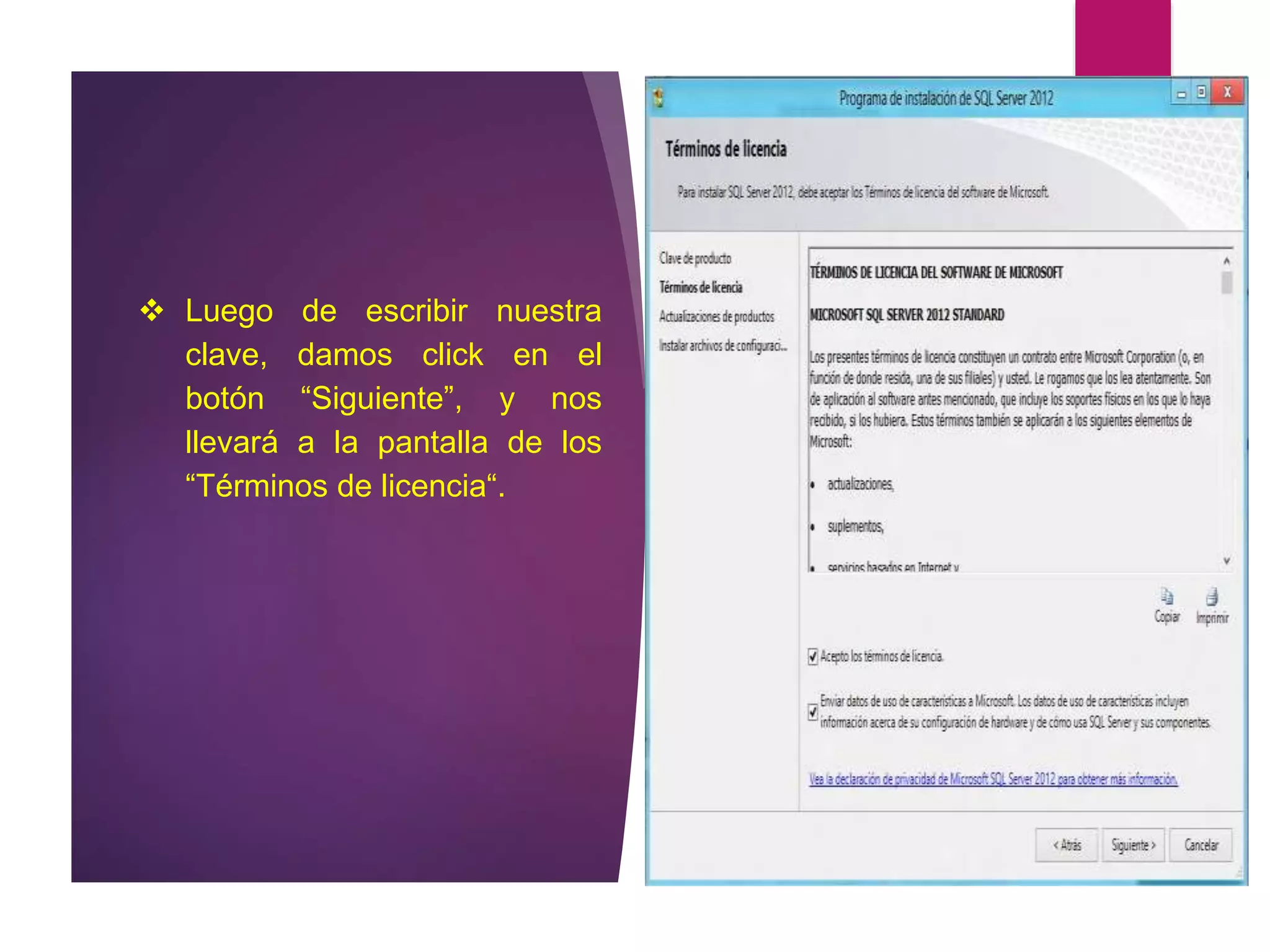  Luego de escribir nuestra
clave, damos click en el
botón “Siguiente”, y nos
llevará a la pantalla de los
“Términos de licencia“.
 