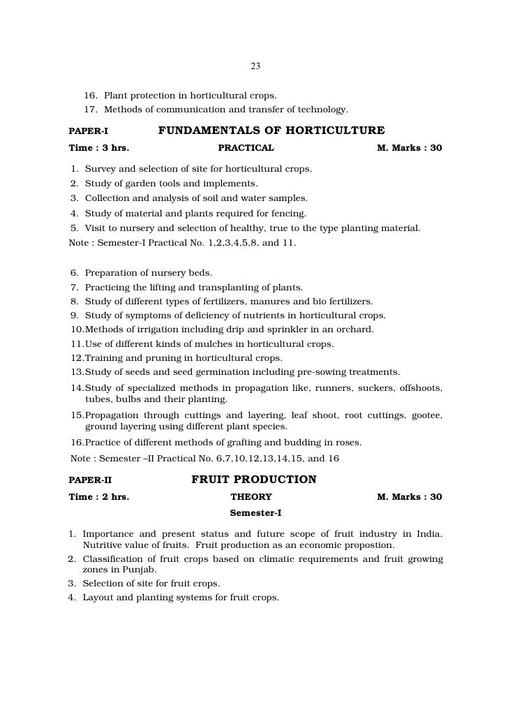 student papers custom student essays research papers term resume examples templates images samples of writing narrative there is no third person narrative essay formally