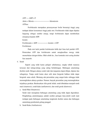 ATP ---- ADP + P
Aktin + Miosin ------------------------- Aktomiosin
ATPase
Fosfokreatin merupakan persenyawaan fosfat berenergi tinggi yang
terdapat dalam konsentrasi tinggi pada otot. Fosfokreatin tidak dapat dipakai
langsung sebagai sumber energi, tetapi fosfokreatin dapat memberikan
energinya kepada ADP.
kreatin
Fosfokreatin + ADP ----------------- keratin + ATP
Fosfokinase
Pada otot lurik jumlah fosfokreatin lebih dari lima kali jumlah ATP.
Pemecahan ATP dan fosfokreatin untuk menghasilkan energy tidak
memerlukan oksigen bebas. Oleh sebab itu , fase kontraksi otot sering disebut
fase anaerob.
4. Sendi
Seperti yang telah kamu pelajari sebelumnya, rangka tubuh manusia
tersusun dari tulang-tulang yang saling berhubungan. Hubungan antartulang
disebut sendi. Dengan adanya sendi, kaki dan tanganmu dapat dilipat, diputar dan
sebagainya. Tanpa sendi kamu akan sulit akan bergerak bahkan tidak dapat
bergerak sama sekali. Memang ada persendian yang sangat kaku sehingga tidak
memungkinkan adanya gerakan. Namun, banyak persendian yang memungkinkan
terjadinya gerakan. Berdasarkan sifat gerak inilah, sendi dibedakan menjadi sendi
mati (sinartrosis), sendi kaku (amfiartrosis), dan sendi gerak (diartrosis).
a. Sendi Mati (Sinartrosis)
Sendi mati merupakan hubungan antartulang yang tidak dapat digerakkan.
Penghubung antartulangnya adalah serabut jaringan ikat.contoh sendi mati
terdapat pada hubungan antartulang tengkorak disebut sutura dan hubungan
antartulang pembentuk gelang panggul.
b. Sendi Kaku (Amfiartrosis)
 