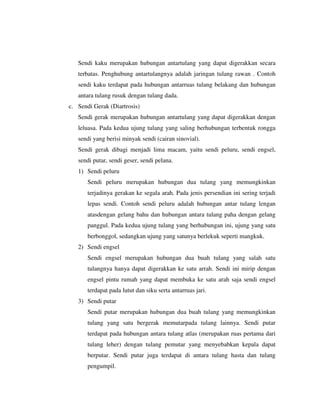Sendi kaku merupakan hubungan antartulang yang dapat digerakkan secara
terbatas. Penghubung antartulangnya adalah jaringan tulang rawan . Contoh
sendi kaku terdapat pada hubungan antarruas tulang belakang dan hubungan
antara tulang rusuk dengan tulang dada.
c. Sendi Gerak (Diartrosis)
Sendi gerak merupakan hubungan antartulang yang dapat digerakkan dengan
leluasa. Pada kedua ujung tulang yang saling berhubungan terbentuk rongga
sendi yang berisi minyak sendi (cairan sinovial).
Sendi gerak dibagi menjadi lima macam, yaitu sendi peluru, sendi engsel,
sendi putar, sendi geser, sendi pelana.
1) Sendi peluru
Sendi peluru merupakan hubungan dua tulang yang memungkinkan
terjadinya gerakan ke segala arah. Pada jenis persendian ini sering terjadi
lepas sendi. Contoh sendi peluru adalah hubungan antar tulang lengan
atasdengan gelang bahu dan hubungan antara tulang paha dengan gelang
panggul. Pada kedua ujung tulang yang berhubungan ini, ujung yang satu
berbonggol, sedangkan ujung yang satunya berlekuk seperti mangkuk.
2) Sendi engsel
Sendi engsel merupakan hubungan dua buah tulang yang salah satu
tulangnya hanya dapat digerakkan ke satu arrah. Sendi ini mirip dengan
engsel pintu rumah yang dapat membuka ke satu arah saja sendi engsel
terdapat pada lutut dan siku serta antarruas jari.
3) Sendi putar
Sendi putar merupakan hubungan dua buah tulang yang memungkinkan
tulang yang satu bergerak memutarpada tulang lainnya. Sendi putar
terdapat pada hubungan antara tulang atlas (merupakan ruas pertama dari
tulang leher) dengan tulang pemutar yang menyebabkan kepala dapat
berputar. Sendi putar juga terdapat di antara tulang hasta dan tulang
pengumpil.
 