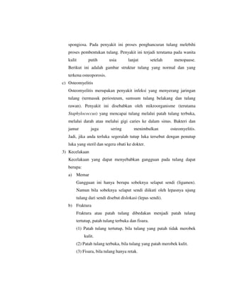 spongiosa. Pada penyakit ini proses penghancuran tulang melebihi
proses pembentukan tulang. Penyakit ini terjadi terutama pada wanita
kulit putih usia lanjut setelah menopause.
Berikut ini adalah gambar struktur tulang yang normal dan yang
terkena osteoporosis.
c) Osteomyelitis
Osteomyelitis merupakan penyakit infeksi yang menyerang jaringan
tulang (termasuk periosteum, sumsum tulang belakang dan tulang
rawan). Penyakit ini disebabkan oleh mikroorganisme (terutama
Staphylococcus) yang mencapai tulang melalui patah tulang terbuka,
melalui darah atau melalui gigi caries ke dalam sinus. Bakteri dan
jamur juga sering menimbulkan osteomyelitis.
Jadi, jika anda terluka segeralah tutup luka tersebut dengan penutup
luka yang steril dan segera obati ke dokter.
3) Kecelakaan
Kecelakaan yang dapat menyebabkan gangguan pada tulang dapat
berupa:
a) Memar
Gangguan ini hanya berupa sobeknya selaput sendi (ligamen).
Namun bila sobeknya selaput sendi diikuti oleh lepasnya ujung
tulang dari sendi disebut dislokasi (lepas sendi).
b) Fraktura
Fraktura atau patah tulang dibedakan menjadi patah tulang
tertutup, patah tulang terbuka dan fisura.
(1) Patah tulang tertutup, bila tulang yang patah tidak merobek
kulit.
(2) Patah tulang terbuka, bila tulang yang patah merobek kulit.
(3) Fisura, bila tulang hanya retak.
 