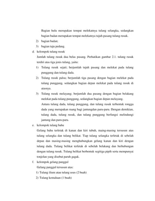 Bagian hulu merupakan tempat melekatnya tulang selangka, sedangkan
bagian badan merupakan tempat melekatnya tujuh pasang tulang rusuk.
2) bagian badan;
3) bagian taju pedang.
d. kelompok tulang rusuk
Jumlah tulang rusuk dua belas pasang. Perhatikan gambar 2.1. tulang rusuk
terdiri atas tiga jenis tulang, yaitu:
1) Tulang rusuk sejati; berjumlah tujuh pasang dan melekat pada tulang
punggung dan tulang dada.
2) Tulang rusuk palsu; berjumlah tiga pasang dengan bagian melekat pada
tulang punggung, sedangkan bagian depan melekat pada tulang rusuk di
atasnya.
3) Tulang rusuk melayang; berjumlah dua pasang dengan bagian belakang
melekat pada tulang punggung, sedangkan bagian depan melayang.
Antara tulang dada, tulang punggung, dan tulang rusuk terbentuk rongga
dada yang merupakan ruang bagi jantungdan paru-paru. Dengan demikian,
tulang dada, tulang rusuk, dan tulang punggung berfungsi melindungi
jantung dan paru-paru.
e. kelompok tulang bahu
Gelang bahu terletak di kanan dan kiri tubuh, maing-masing tersusun atas
tulang selangka dan tulang belikat. Tiap tulang selangka terletak di sebelah
depan dan masing-masing menghubungkan gelang kanan dan kiri dengan
tulang dada. Tulang belikat terletak di sebelah belakang dan berhubungan
dengan tulang rusuk. Tulang belikat berbentuk segitiga pipih serta mempunyai
tonjolan yang disebut paruh gagak.
f. kelompok gelang panggul
Gelang panggul tersusun atas:
1) Tulang ilium atau tulang usus (2 buah)
2) Tulang kemaluan (1 buah)
 