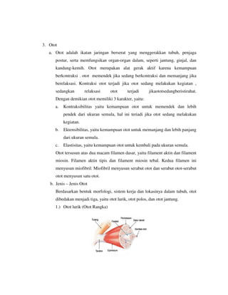 3. Otot
a. Otot adalah ikatan jaringan berserat yang menggerakkan tubuh, penjaga
postur, serta memfungsikan organ-organ dalam, seperti jantung, ginjal, dan
kandung-kemih. Otot merupakan alat gerak aktif karena kemampuan
berkontraksi . otot memendek jika sedang berkontraksi dan memanjang jika
berelaksasi. Kontraksi otot terjadi jika otot sedang melakukan kegiatan ,
sedangkan relaksasi otot terjadi jikaototsedangberistirahat.
Dengan demikian otot memiliki 3 karakter, yaitu:
a. Kontraksibilitas yaitu kemampuan otot untuk memendek dan lebih
pendek dari ukuran semula, hal ini teriadi jika otot sedang melakukan
kegiatan.
b. Ektensibilitas, yaitu kemampuan otot untuk memanjang dan lebih panjang
dari ukuran semula.
c. Elastisitas, yaitu kemampuan otot untuk kembali pada ukuran semula.
Otot tersusun atas dua macam filamen dasar, yaitu filament aktin dan filament
miosin. Filamen aktin tipis dan filament miosin tebal. Kedua filamen ini
menyusun miofibril. Miofibril menyusun serabut otot dan serabut otot-serabut
otot menyusun satu otot.
b. Jenis – Jenis Otot
Berdasarkan bentuk morfologi, sistem kerja dan lokasinya dalam tubuh, otot
dibedakan menjadi tiga, yaitu otot lurik, otot polos, dan otot jantung.
1.) Otot lurik (Otot Rangka)
 