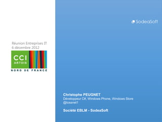 Réunion Entreprises IT
6 décembre 2012




                         Christophe PEUGNET
                         Développeur C#, Windows Phone, Windows Store
                         @tossnet1

                         Société EBLM - SodeaSoft
 