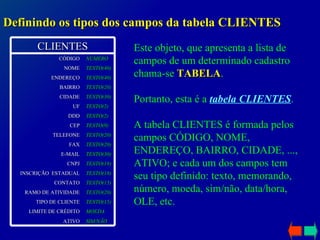 Definindo os tipos dos campos da tabela CLIENTES Este objeto, que apresenta a lista de campos de um determinado cadastro chama-se  TABELA . Portanto, esta é a  tabela CLIENTES . A tabela CLIENTES é formada pelos campos CÓDIGO, NOME, ENDEREÇO, BAIRRO, CIDADE, ..., ATIVO; e cada um dos campos tem seu tipo definido: texto, memorando, número, moeda, sim/não, data/hora, OLE, etc. CLIENTES SIM/NÃO ATIVO MOEDA LIMITE DE CRÉDITO TEXTO(15) TIPO DE CLIENTE TEXTO(20) RAMO DE ATIVIDADE TEXTO(15) CONTATO TEXTO(18) INSCRIÇÃO  ESTADUAL TEXTO(18) CNPJ TEXTO(30) E-MAIL TEXTO(20) FAX TEXTO(20) TELEFONE TEXTO(9) CEP TEXTO(2) DDD TEXTO(2) UF TEXTO(30) CIDADE TEXTO(20) BAIRRO TEXTO(40) ENDEREÇO TEXTO(40) NOME NÚMERO CÓDIGO 