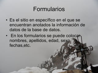 Formularios Es el sitio en específico en el que se encuentran anotados la información de datos de la base de datos. En los formularios se puede colocar nombres, apellidos, edad, sexo, fechas,etc.  