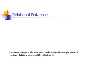 Relational Database
A schematic diagram of a relational database (a) and a sample part of a
relational database showing different tables (b)
 