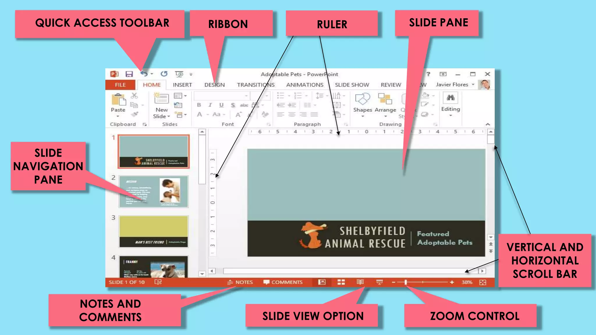 QUICK ACCESS TOOLBAR RIBBON RULER SLIDE PANE
SLIDE
NAVIGATION
PANE
NOTES AND
COMMENTS
VERTICAL AND
HORIZONTAL
SCROLL BAR
ZOOM CONTROLSLIDE VIEW OPTION
 