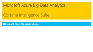 HDInsight Tools for Visual Studio
 