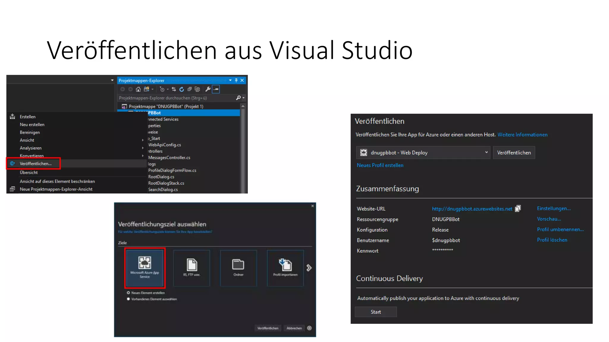 Veröffentlichen aus Visual Studio 