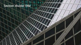 Section divider title
 