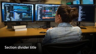 Section divider title
 