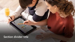 Section divider title
 