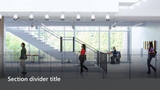 Section divider title
 