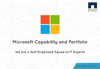 Microsoft capability &amp; portfolio