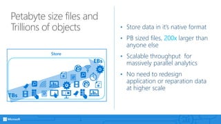 Petabyte size files and
Trillions of objects • Store data in it’s native format
• PB sized files, 200x larger than
anyone else
• Scalable throughput for
massively parallel analytics
• No need to redesign
application or reparation data
at higher scale
TBs
EBs
Store
 