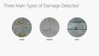 ALGAE CRACKS RUST
 