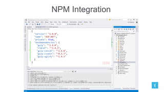 NPM Integration
 
