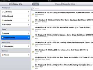Microsoft Dynamics CRM dashboards on iPad